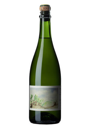 Simon Batardière Plein Nord Bulles | SIMON BATARDIÈRE | Bellevigne-en-Layon, Anjou-Saumur