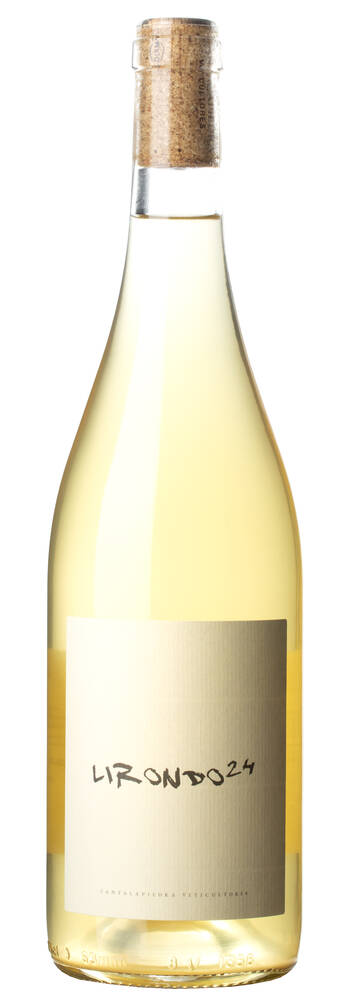 Cantalapiedra Lirondo | CANTALAPIEDRA VITICULTORES | La Seca, Valladolid
