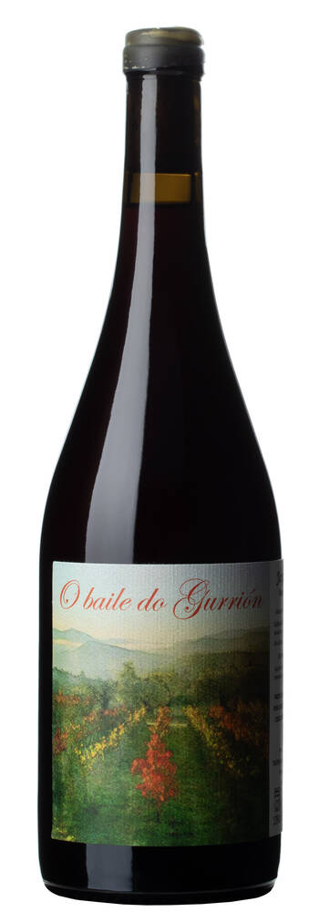 Jorge Olivera O Baile do Gurrión (Gorrión) ‘23 | JORGE OLIVERA | Coscojuela de Sobrarbe, Huesca