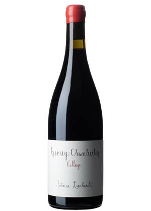 Antoine Lienhardt Gevrey-Chambertin Village | ANTOINE LIENHARDT | Combe du Bas, Côte de Nuits