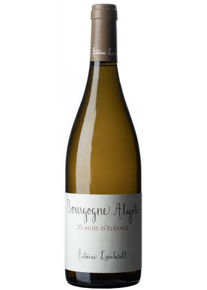 Antoine Lienhardt Bourgogne Aligoté 35 meses | ANTOINE LIENHARDT | Comblanchien, Côte de Nuits