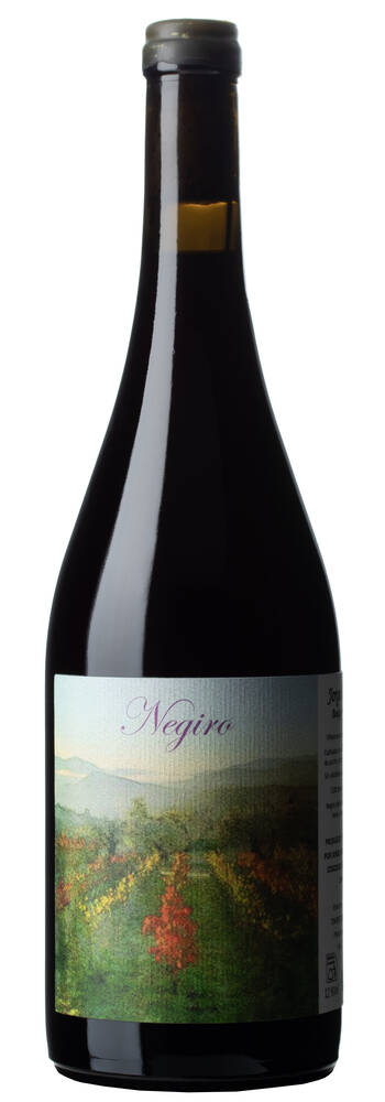 Jorge Olivera Negiro | JORGE OLIVERA | Coscojuela de Sobrarbe, Huesca