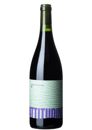 Attitudine Dolcetto d'Alba | ATTITUDINE | San Rocco Seno d'Elvio, Langhe