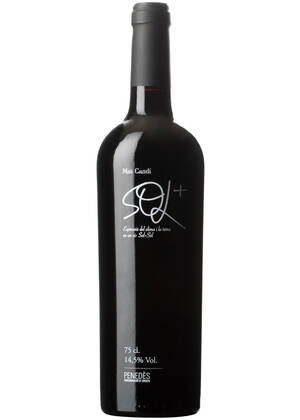 Mas Candí Sol+Sòl | MAS CANDÍ | Avinyonet del Penedès, Penedés