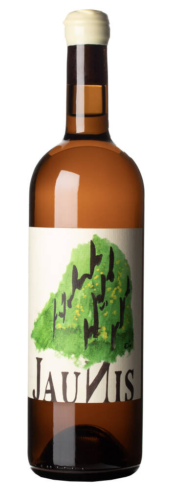 Elio Sandri Jaunis | ELIO SANDRI - CASCINA DISA | Monforte d'Alba, Barolo