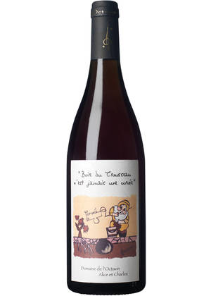 Bruyère & Houillon Arbois Ploussard / Trousseau | RENAUD BRUYÈRE