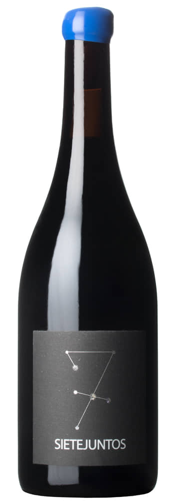 MicroBio Sietejuntos Syrah | Microbio wines | Nieva, Segovia