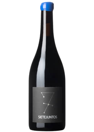 MicroBio Sietejuntos Syrah | MICROBIO WINES | Nieva, Segovia